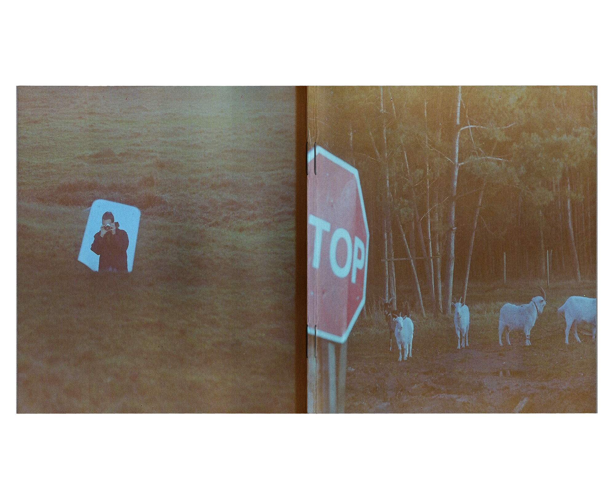 My Love-Hate Relationship With Expired Film