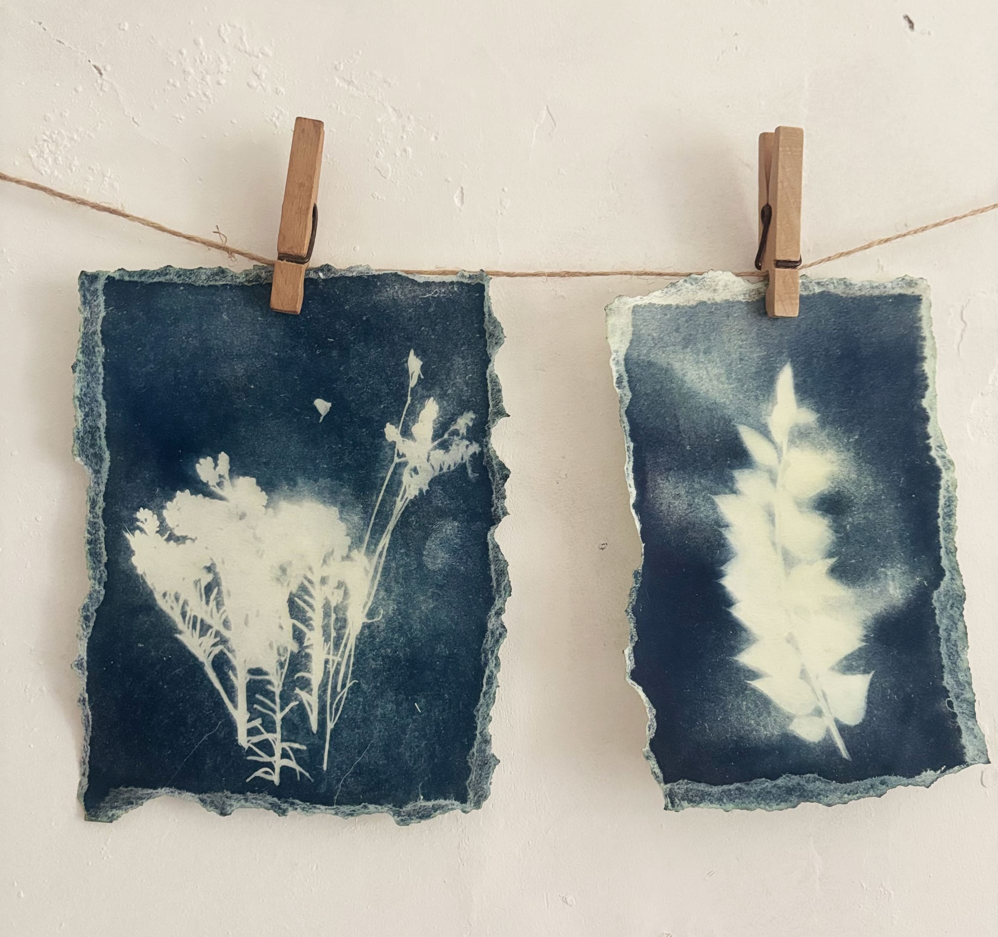 You Can Make Art With Sunlight (Cyanotype)